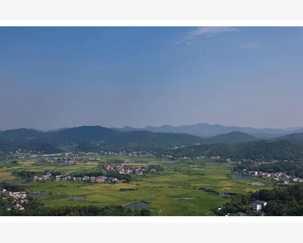 吃什么最好最快食补汤？补气血，中医传统疗法的福音！